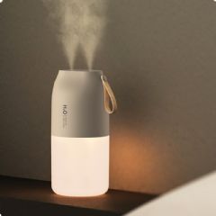 New Home Office Mini Double Spray Wireless Humidifier with night light